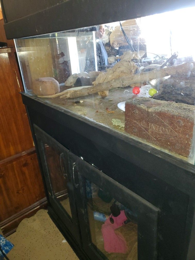 Reptile/Fish Tanks IF NOT MARKED SOLD ITS STILL AVAILABLE for Sale in