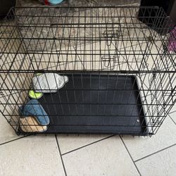 2x3 Dog Crate