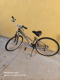 Raleigh 28 Inch Women Bike/TRADE