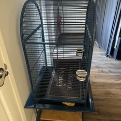 Bird Cage 