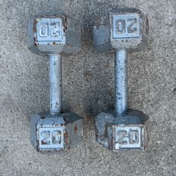 2 x 20lbs Hex Dumbbells (Silver Lake)