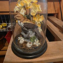 Bird Figurine On Branch Inside Under Glass Globe Display Apothecary Daffodils 7”