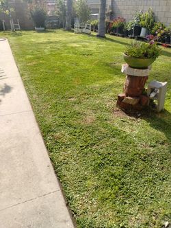 Lawn Mower