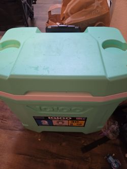 30 qt cooler 43 cans