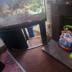 fish tank