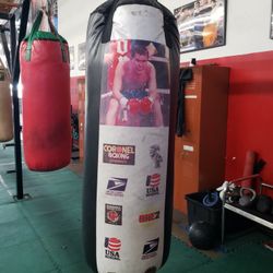 Punching Bag 