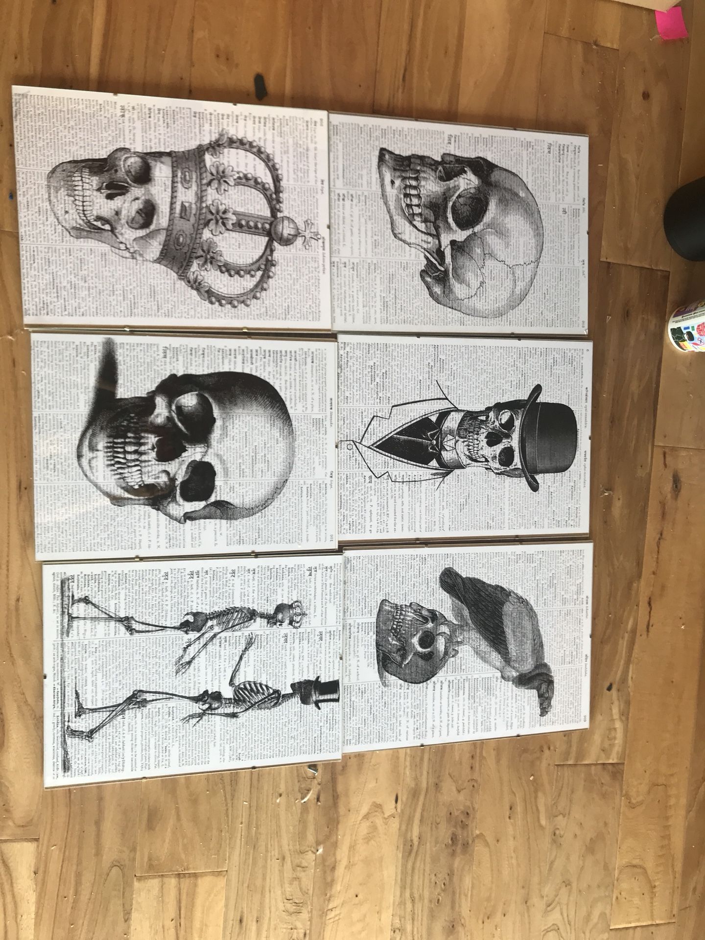 6 skeleton print photos in glass frames