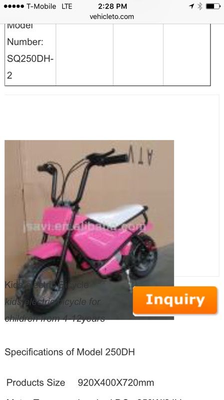WiZz monkey mini bike
