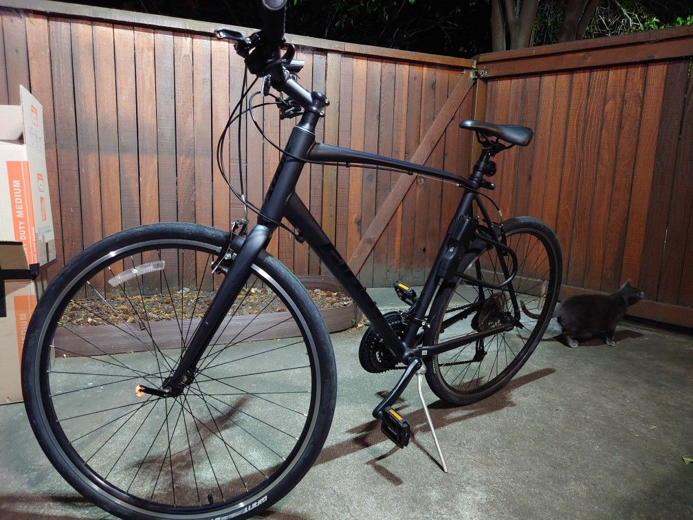Giant Escape XL Commuter Bike