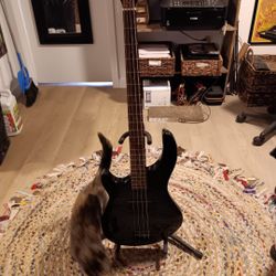 Left Handed Bass Guitar