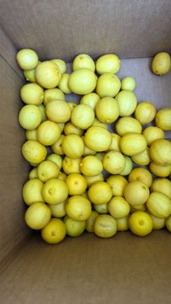 Limon Mexicano