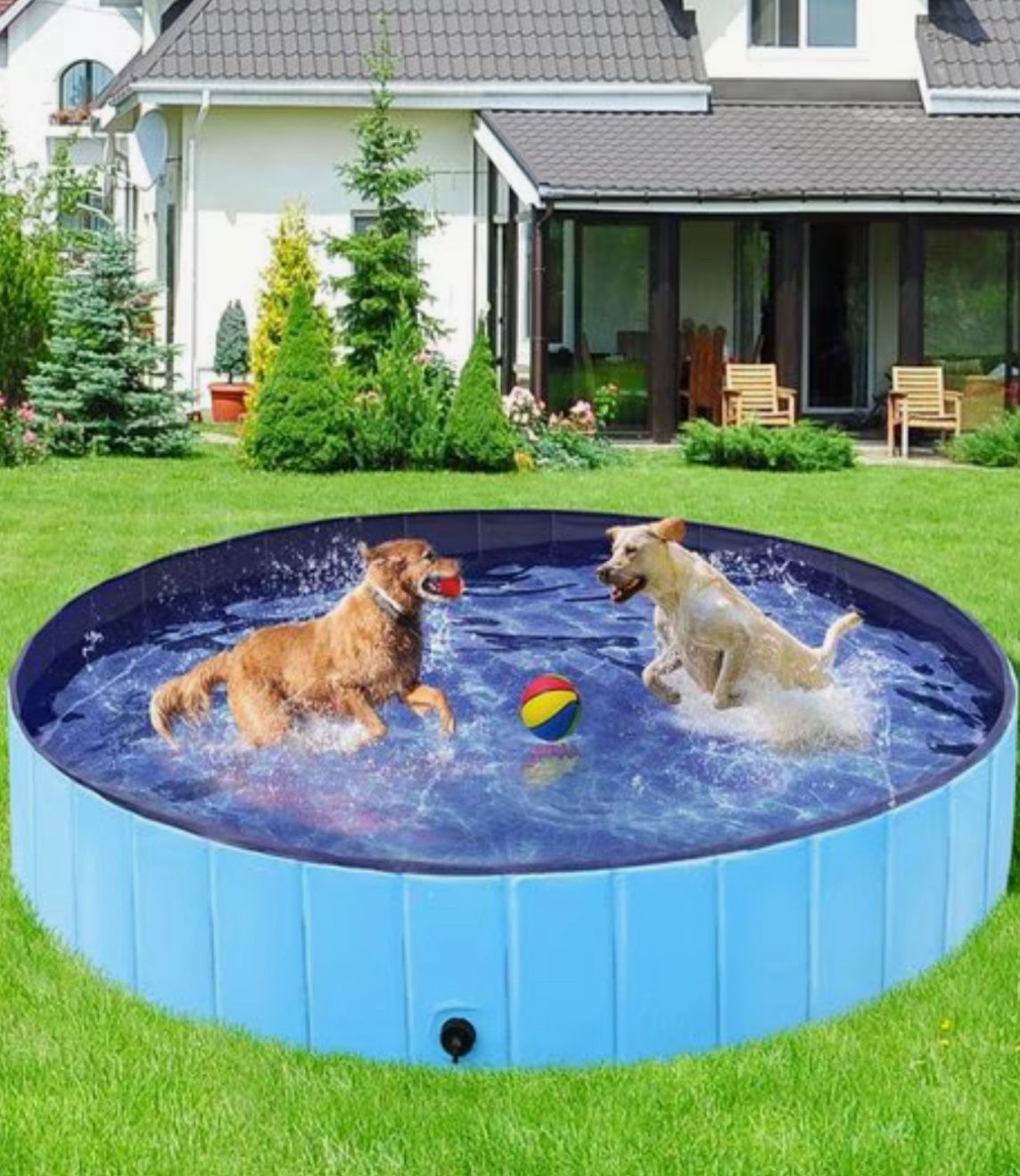 Pawz Large Portable Animal/kiddie Pool
