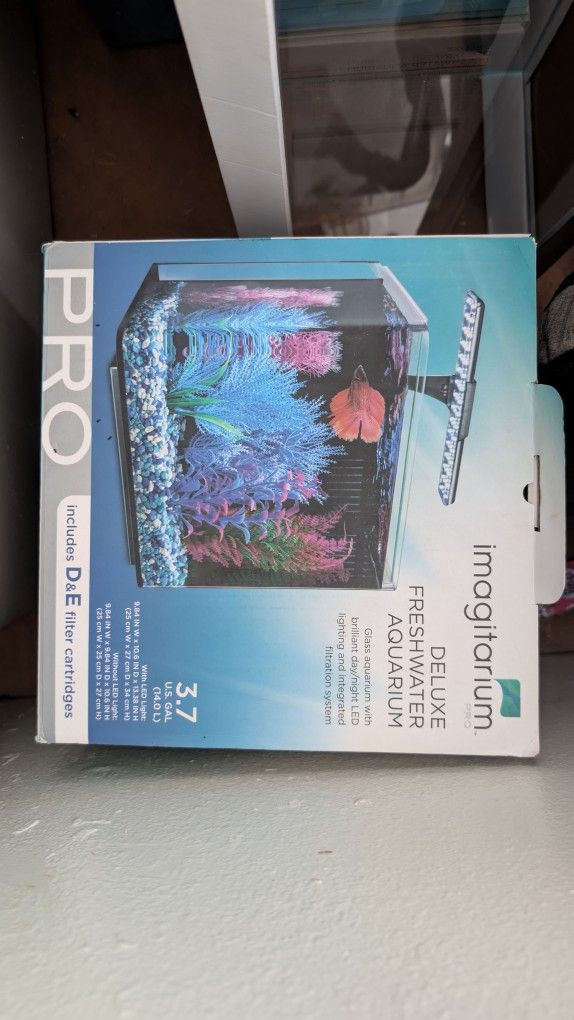 New Fish Tank