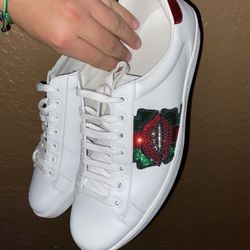 Gucci Shoes 