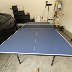 Joola Professional Indoor Table Tennis Table