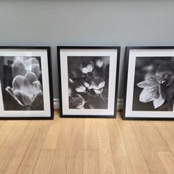 Set of 3 framed B&W Cherry Blossom Prints 