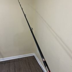 Seeker Fishing Rod