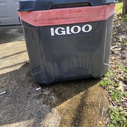 Igloo Cooler 