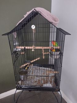 Cage