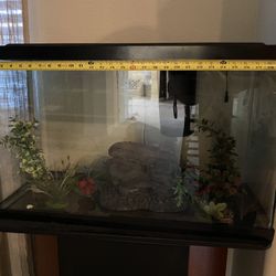 Aquarium With Stand 