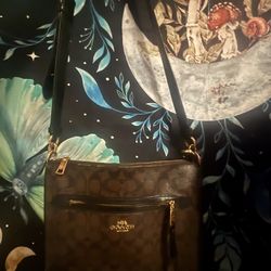 Coach Black interior