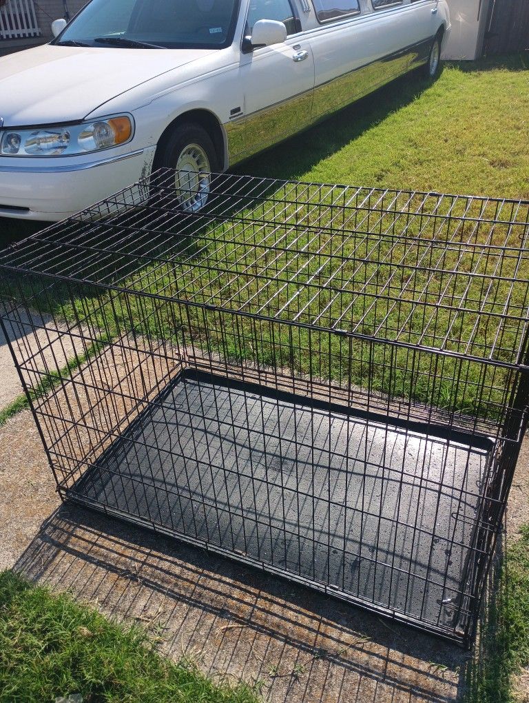 Animal Kennel