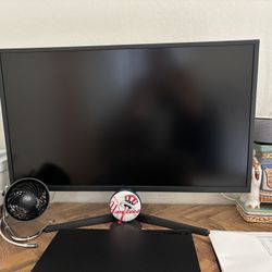 Computer Monitor