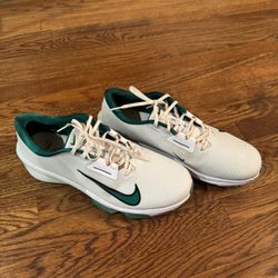 Nike Air Zoom Infinity Tour 2 Golf Shoes Photon Dust Malachite Men Size 