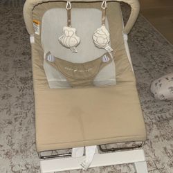 Baby Bouncer 