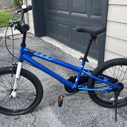 RoyalBaby Kids Bike with Dual Handbrake (20 Inch)