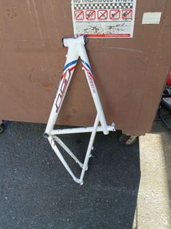 Zasikar LE GT 16"bike frame