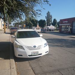 2007 2008 2009 Toyota Camry   Headlight 