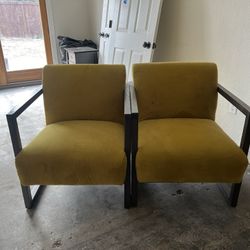 Cushioned Chairs 