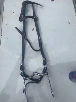 Western horse bridle setup