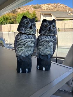 Fake owls / rodent deterrent