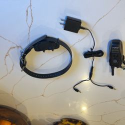 Dogtra Training Dog Collar