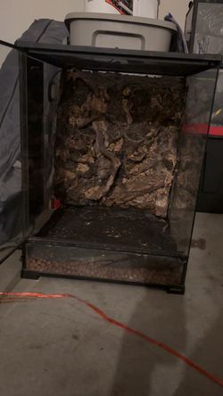 Reptile