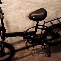 Electric Bike