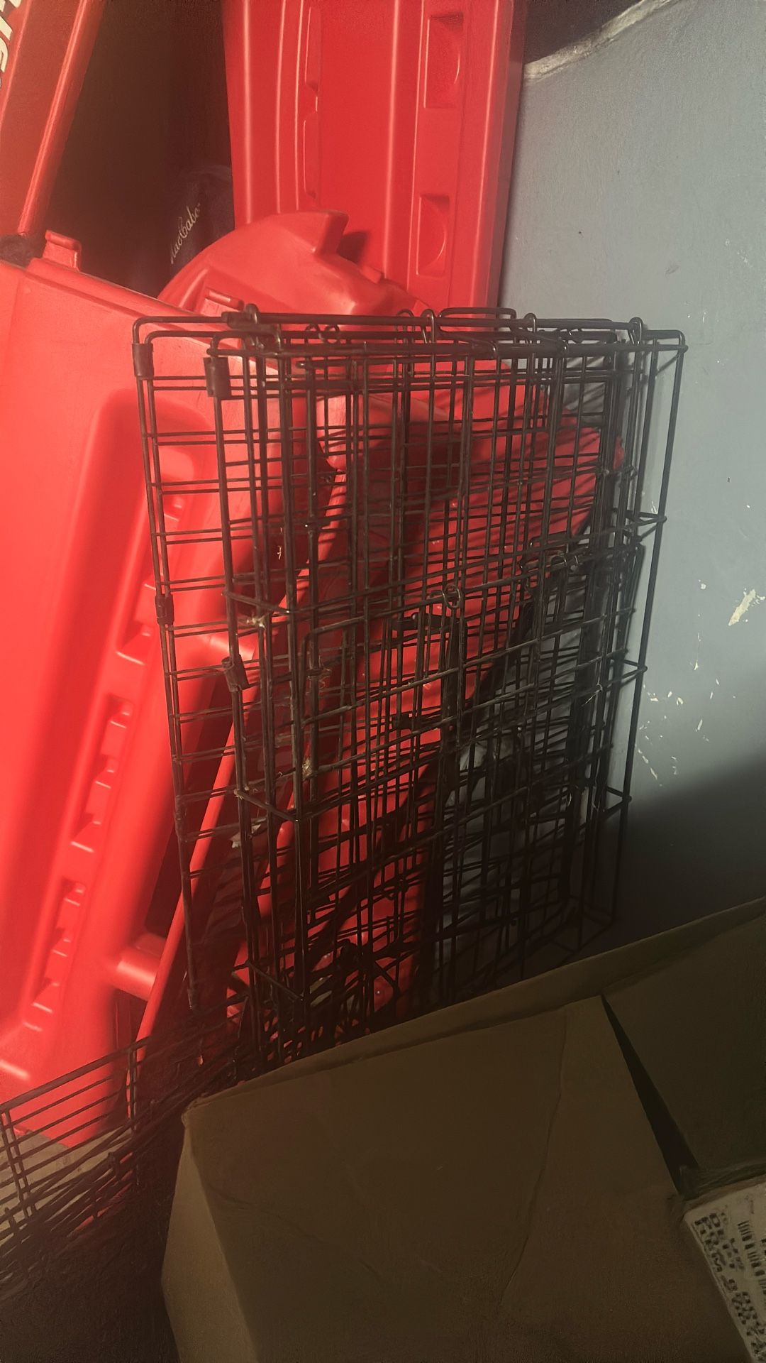 Small God Crate