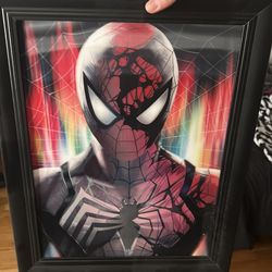 Reflective spider-man picture