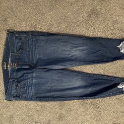 Torrid Jeggings 