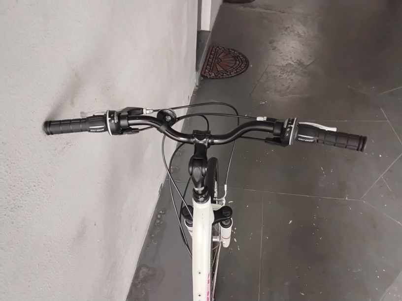 BICYCLE TREK 21 SPEED SIZE 29 BRAND NEW