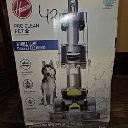 The Hoover Pro Clean Pet Carpet Cleaner