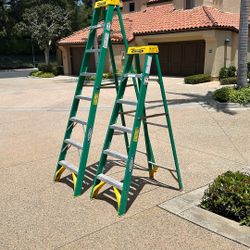 8’ And 6’ Werner Ladders