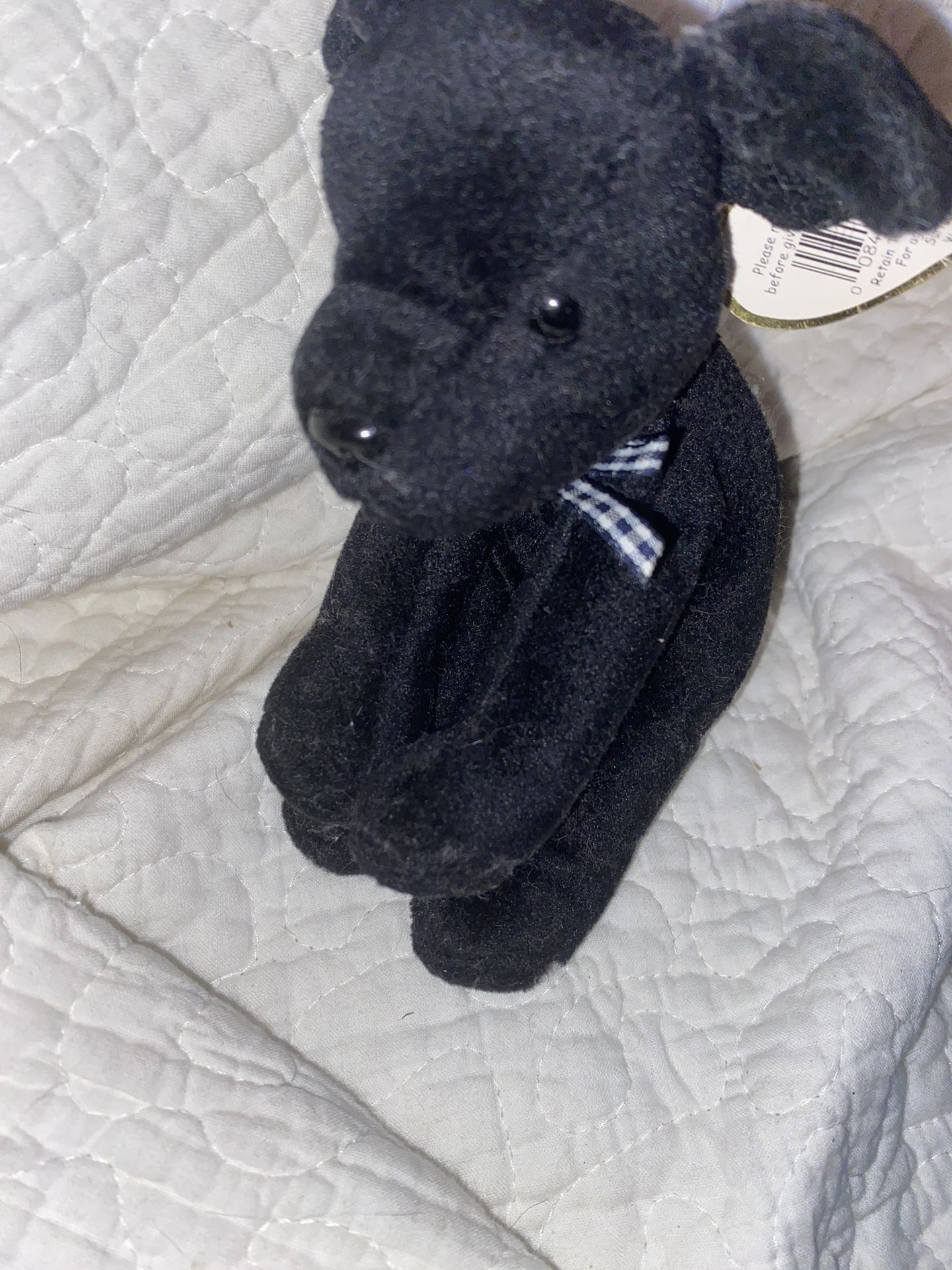 Beanie Baby Luke 1998 (Rare)