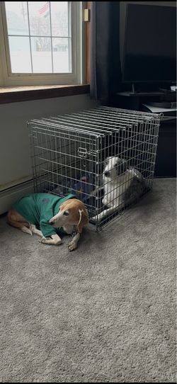 Medium Dog Crate