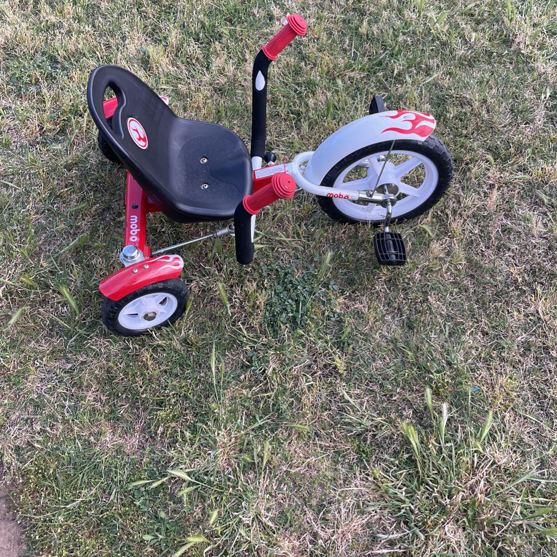 Toddler Bike