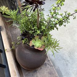 Slanted brown planter