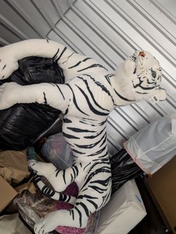 Big tiger