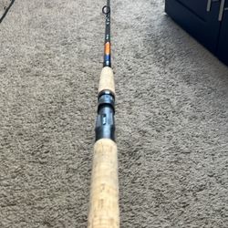 Daiwa Fishing Rod